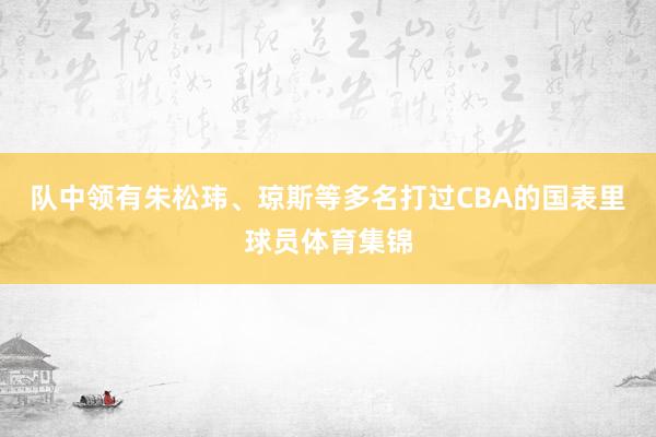 队中领有朱松玮、琼斯等多名打过CBA的国表里球员体育集锦