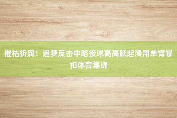 摧枯折腐！追梦反击中路接球高高跃起滑翔单臂暴扣体育集锦