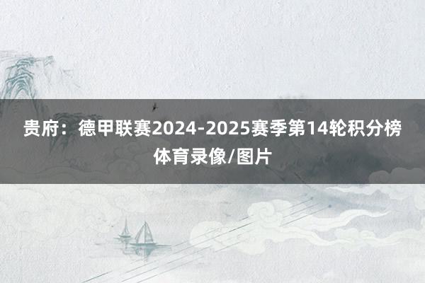 贵府：德甲联赛2024-2025赛季第14轮积分榜体育录像/图片