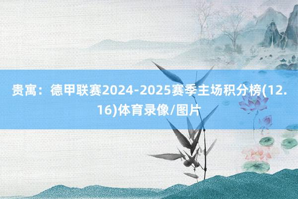 贵寓：德甲联赛2024-2025赛季主场积分榜(12.16)体育录像/图片