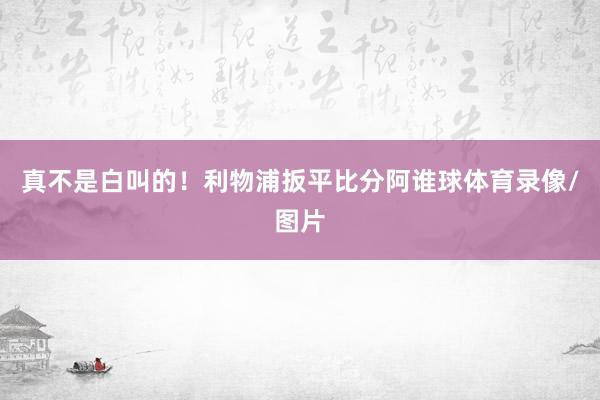 真不是白叫的！利物浦扳平比分阿谁球体育录像/图片