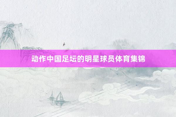 动作中国足坛的明星球员体育集锦