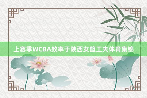 上赛季WCBA效率于陕西女篮工夫体育集锦